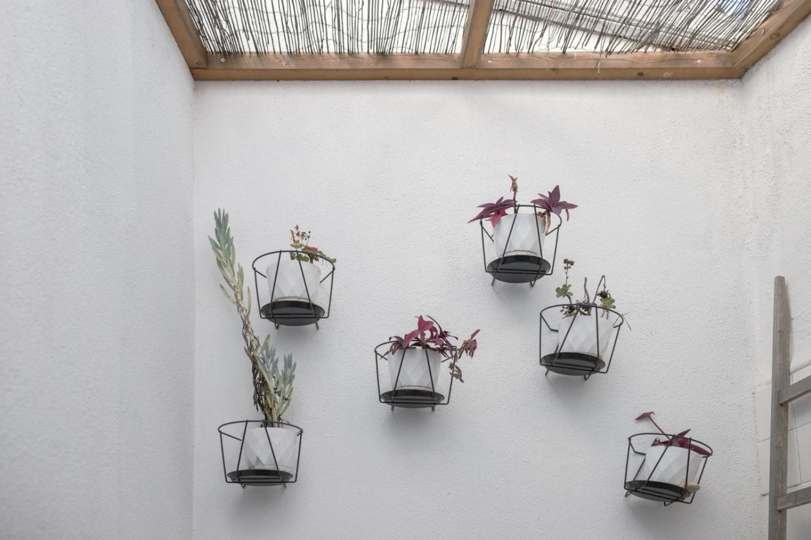 Alfama Design With Terrace By Homing Apartamento Lisboa